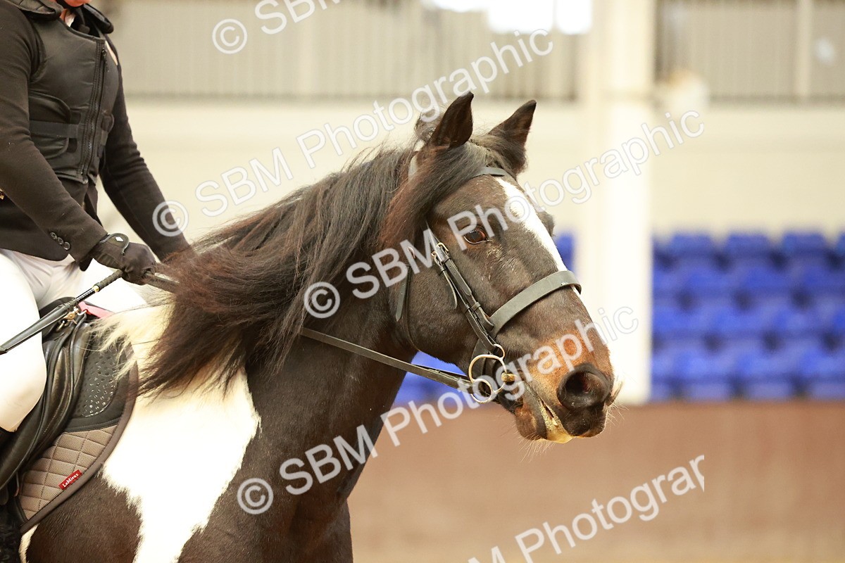 SBM_001200 - Class 2 - 50cm