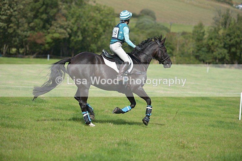 RAY_8932 - Class 2: Trekenning Open: Wall