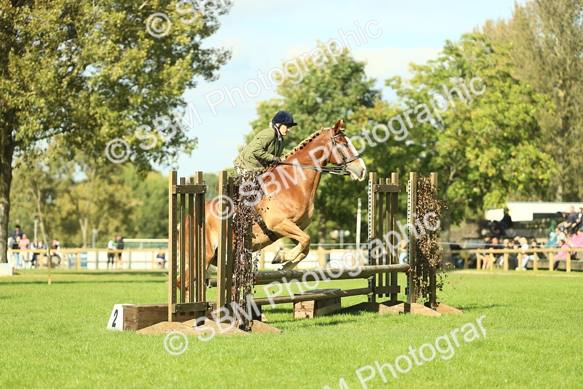SBM_48101 - S32 - Novice & Newcomers Working Hunter