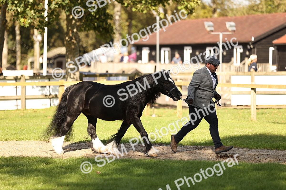 SBM_26167 - S5 - Novice & Newcomers In Hand