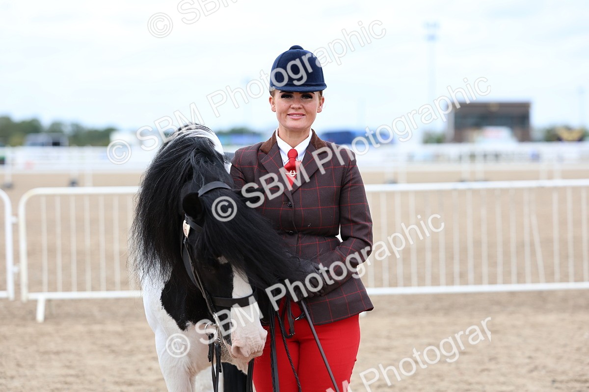 SBM_05914 - Class 29 - IH Veteran Pony