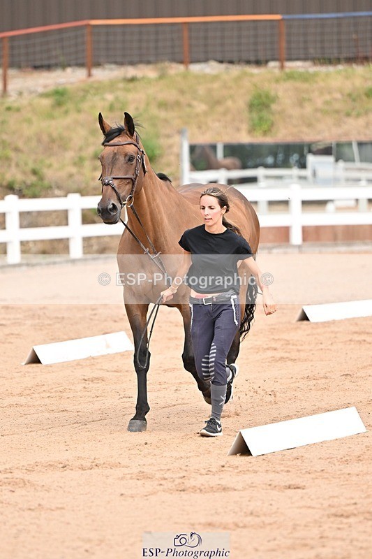 250716-150731-01650 - Trot Up 2.30 to 3.30