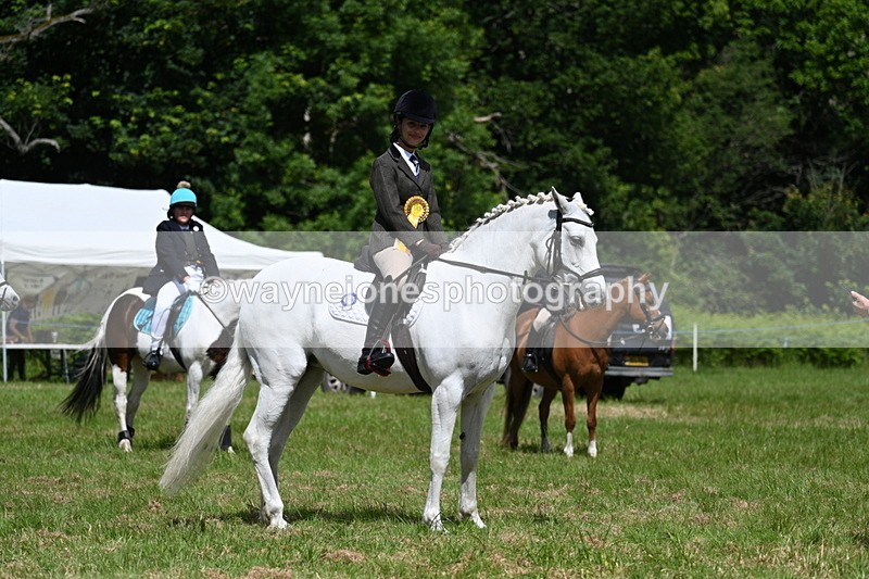 WJ7_1820 - Class 9 Pony Club Pony