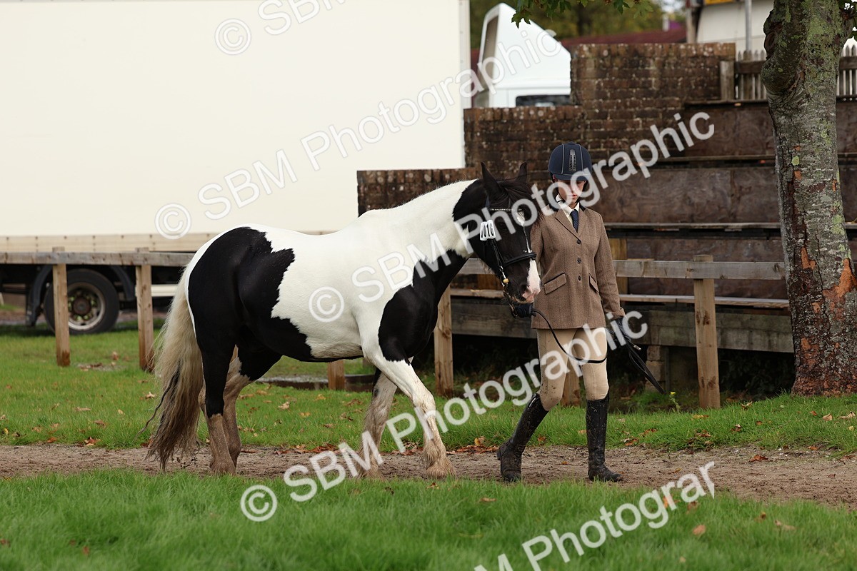 SBM_40712 - S25 -  Veteran In Hand