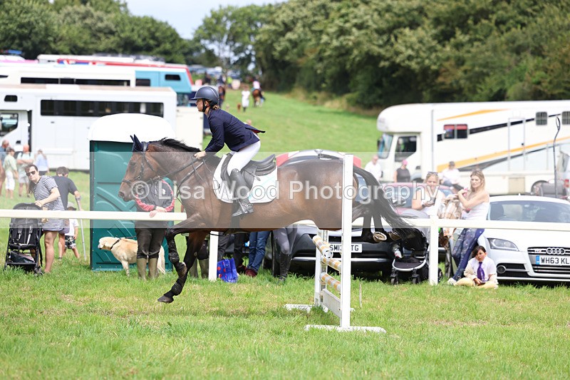 3E7A6953 - Class 5: Senior British Novice/90cm open