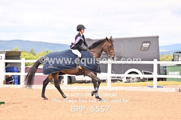 BPP_5557 - CLASS 8 THURS HOYS GFS Saddles Senior Newcomers Second Round