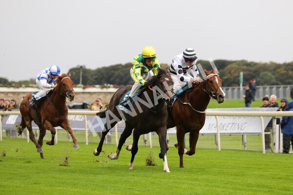 yr07102022r1-24 - Race 1 2.05pm Parsonage Hotel and Cloisters Spa Stakes