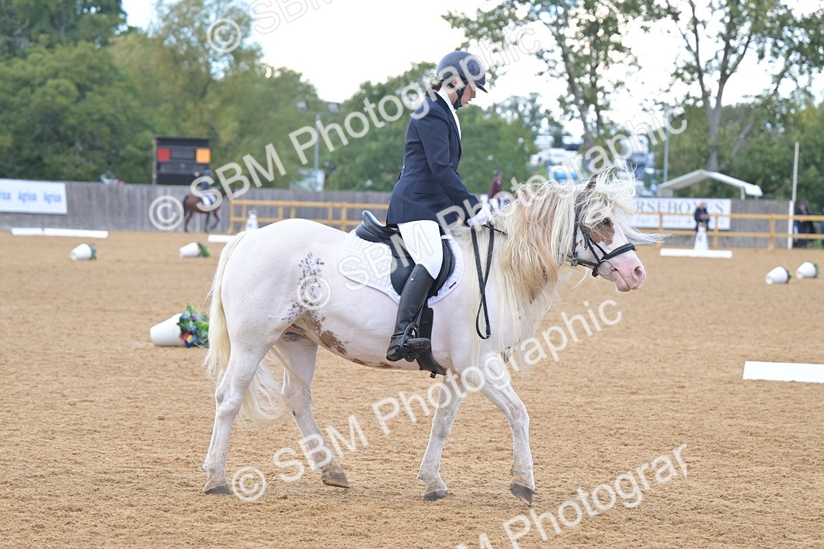 SBM_11210 - D3 - Small Tour Championship Intro 3