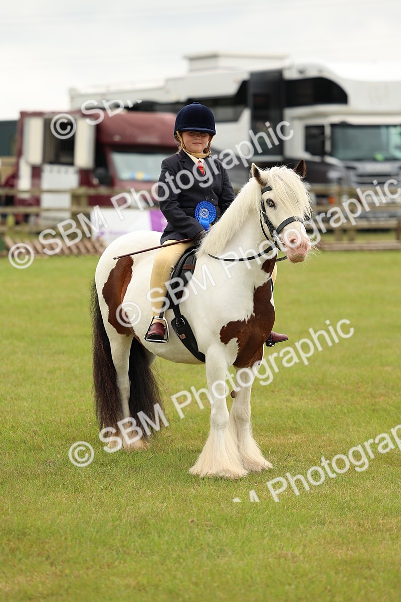 SBM_06294 - Class 39-41 TGCA In Hand and Ridden