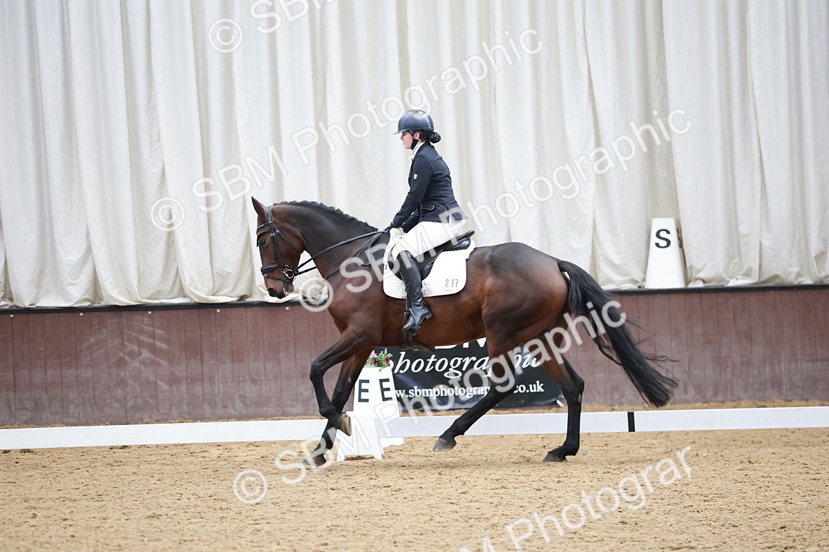 SBM_003742 - Class 2 - Novice 2020