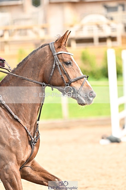 250416-100401-00198 - Cls 1 British Novice and 90cm