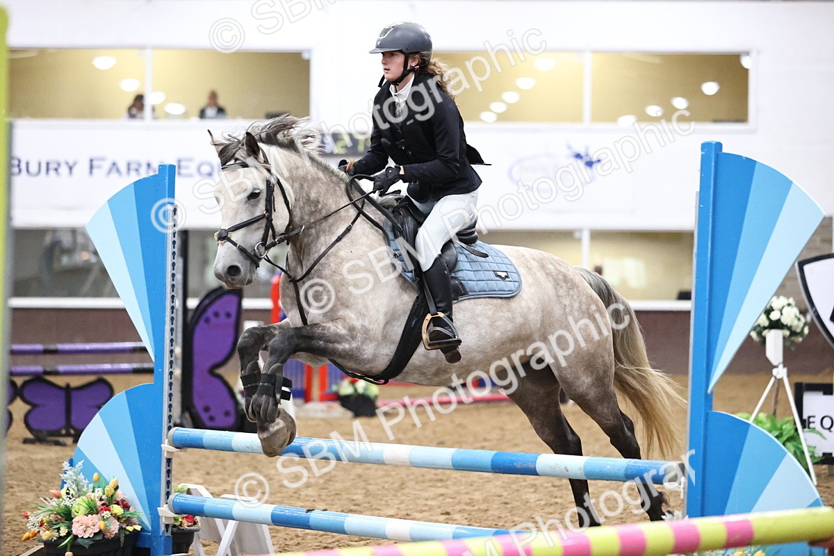 SBM_000393 - Class 2 - Pony British Novice - 80cm Open