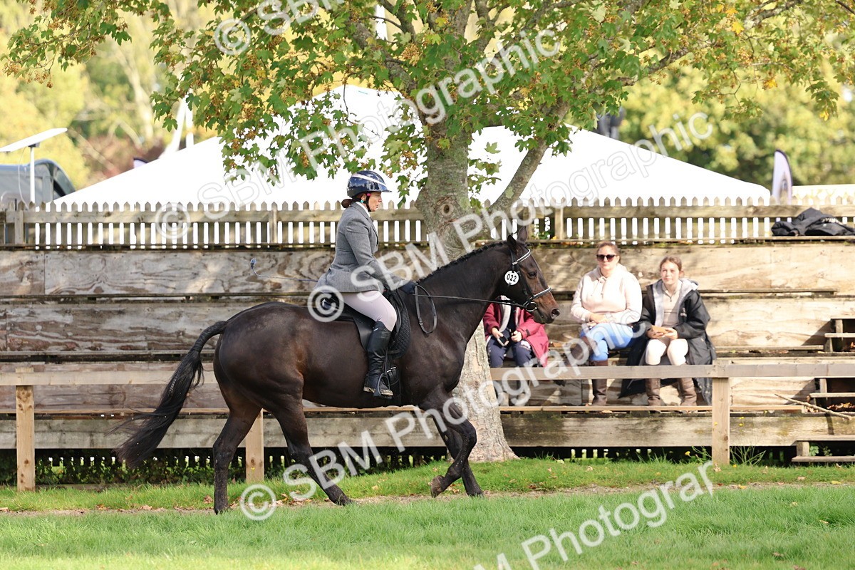 SBM_47820 - S28 - Veteran Ridden