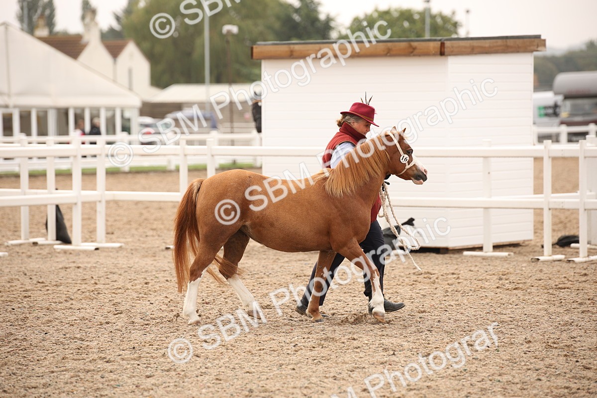 SBM_22122 - Class 707 - Ridden Groom-Helpers Class