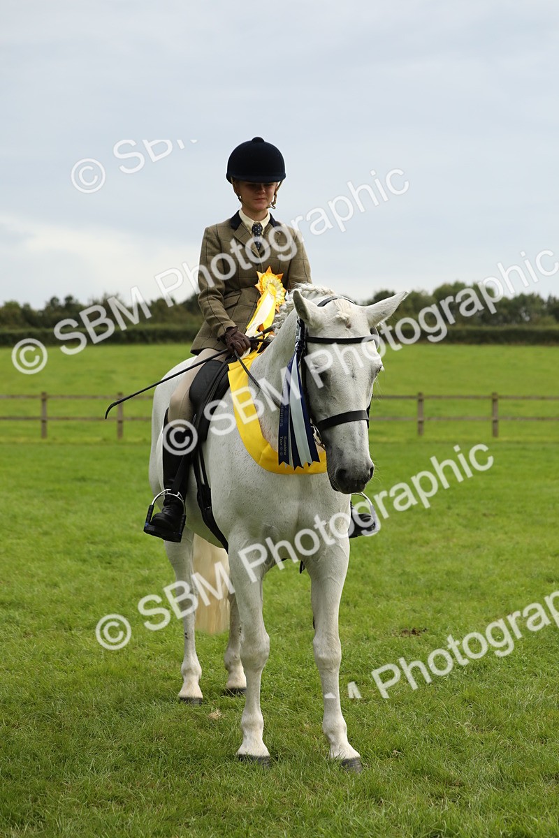 SBM_75399 - Equitation Supreme Championship