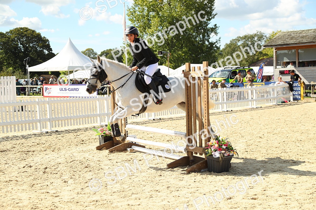 SBM_39440 - J6 - Junior Pony 55cm Championships