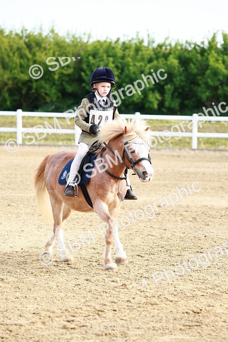 SBM_006369 - Class 1 - 40cm