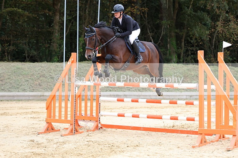 3E7A3387 - Class 9: Senior Foxhunter/1.20 open