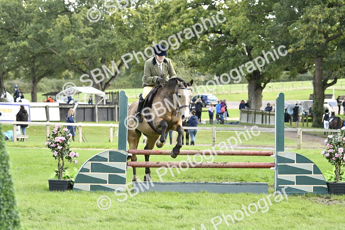SBM_45761 - S33 - Working Hunter Pony