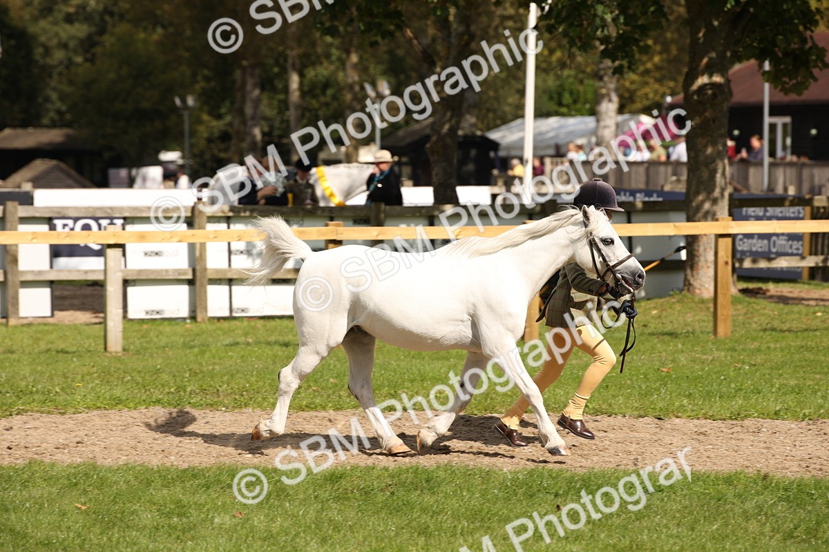 SBM_44404 - S24 - Young Veteran in hand