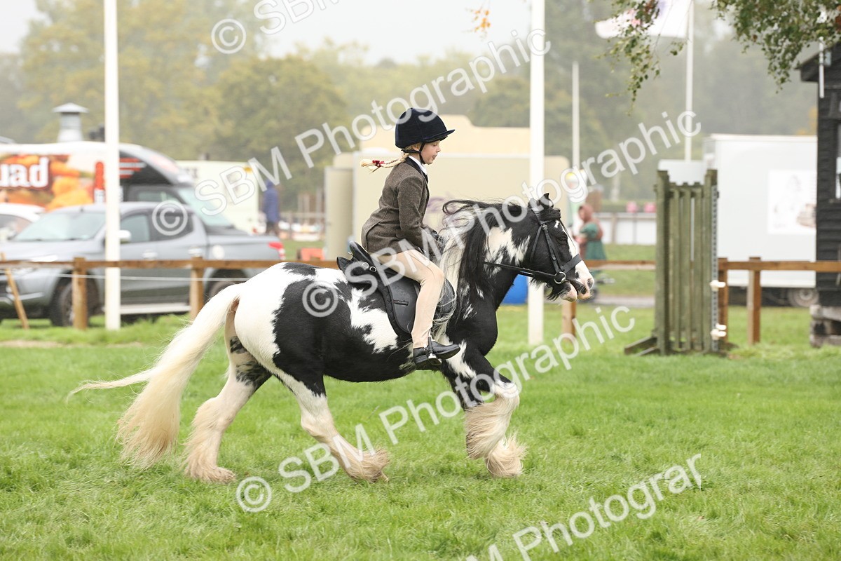 SBM_72827 - S70 - Traditional Cob Ridden