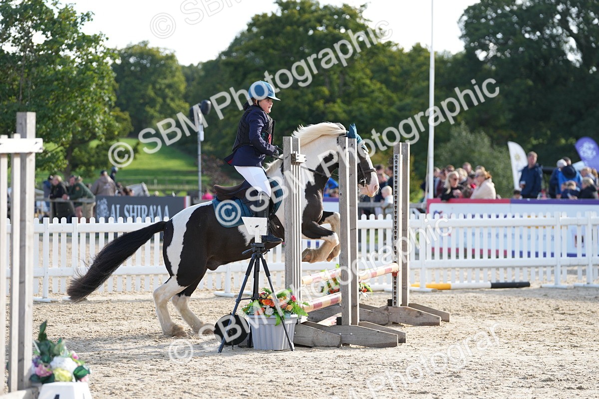 SBM_51038 - J8 - Junior Pony 65cm Championship