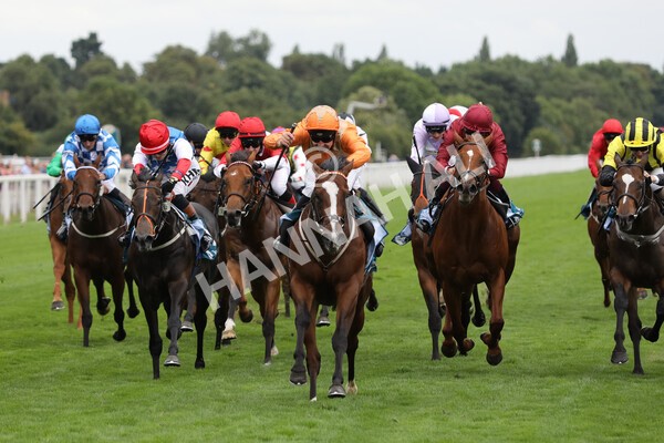 yr17082022r7-19 - Race 7 5.20pm Sky Bet Nursery Handicap