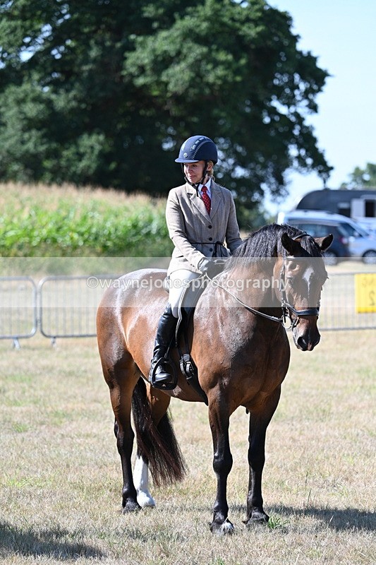 WJ7_3590 - Class 9 Mountain & Moorland Ridden