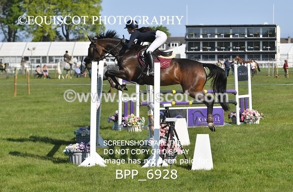 BPP_6928 - CLASS 1 Senior Newcomers/ 1.10m Open