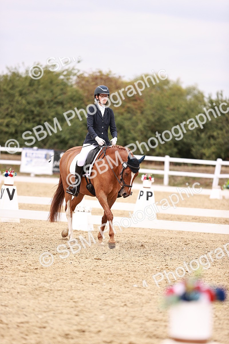 SBM_019295 - Class 20 - Medium 5