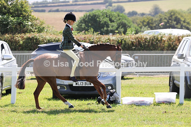 IMG_2014 - Class 34: Show Hunter Pony 153cm and under