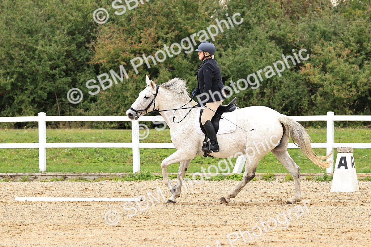 SBM_000235 - Prelim 2