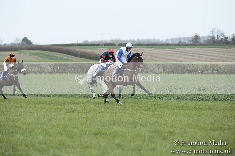 PtP 230319 108 - VWH Hunt Siddington Point-to-Point Racing 23/03/19