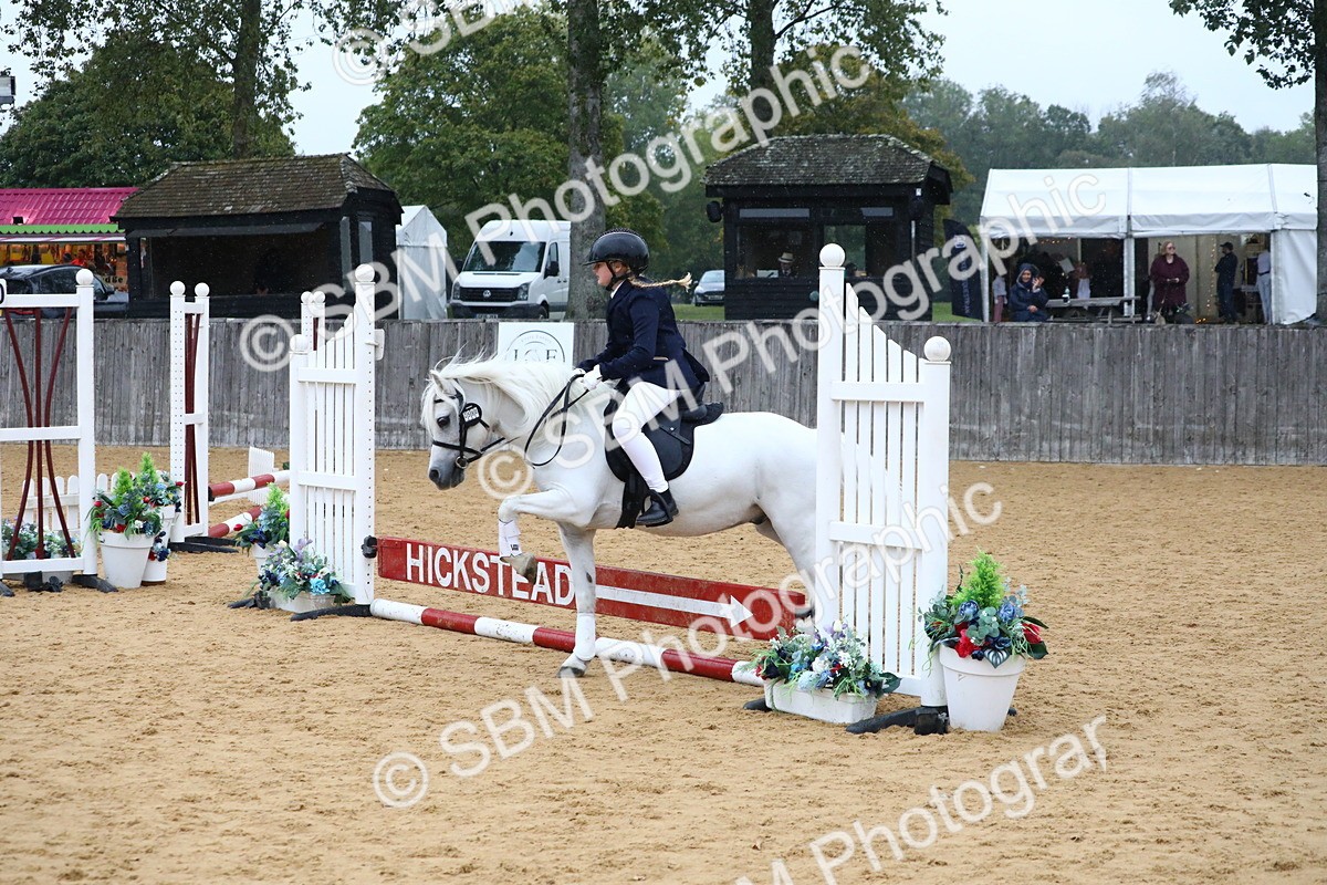 SBM_71444 - J4 - Mini Tour Junior Pony 45cm Championship