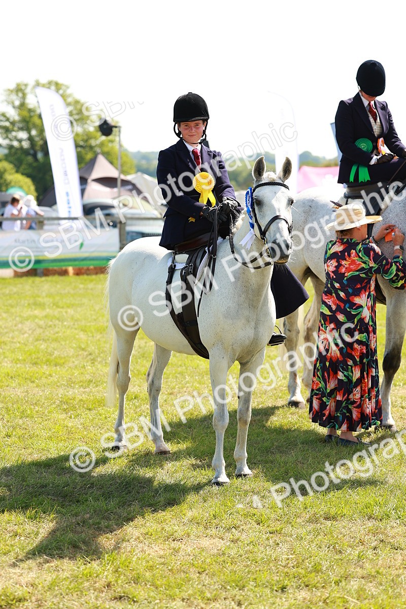 SBM_13264 - Class 70-71 - Side Saddle