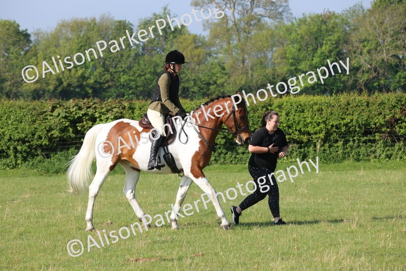 20250427-0508 - Class 17 - Novice Showing