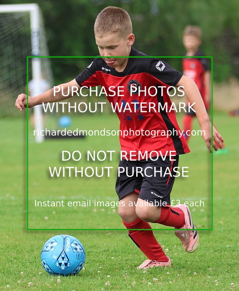 533A3087 - Sedbergh Wanderers (morning Ibis)