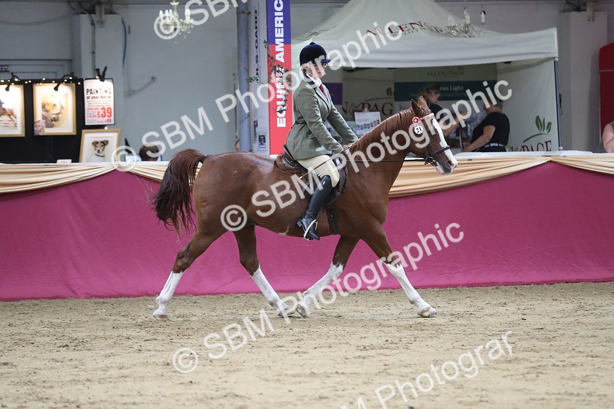 SBM_08447 - Class 11R Regional Ridden Veteran