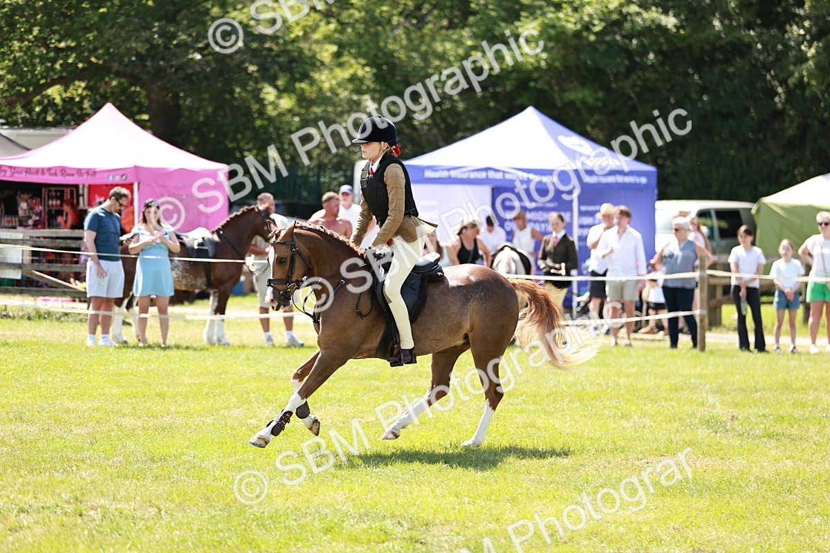 SBM_15645 - Class 108-109 - BSPS LIHS Open Gradle & Nursery Stakes