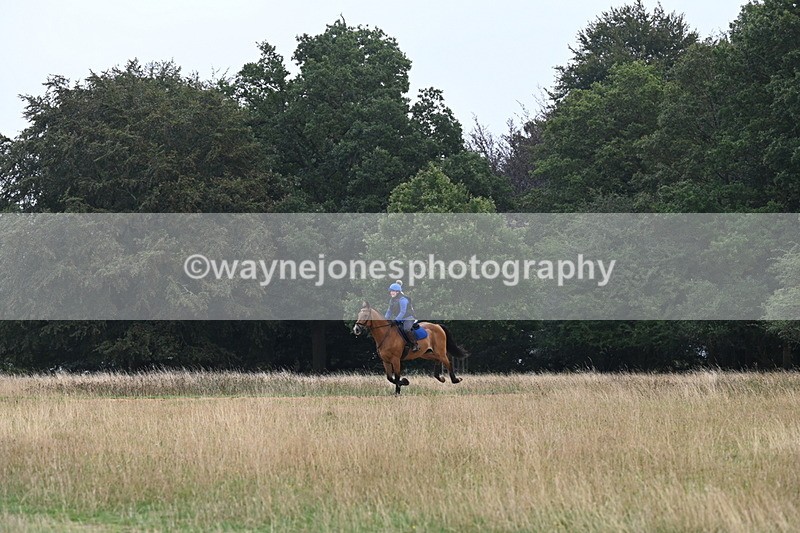 DSC_0317 - Time at Statue 09:51 to 10:54