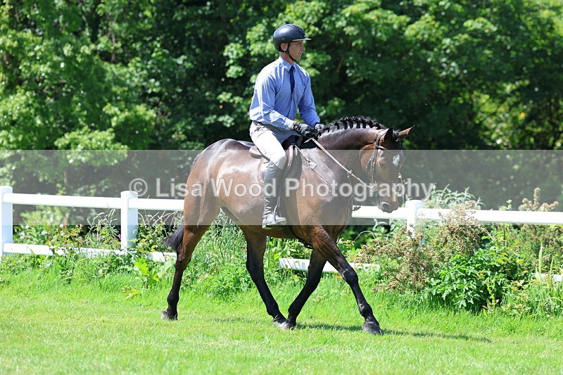 3E7A7168 - Class 30: Novice Working Hunter