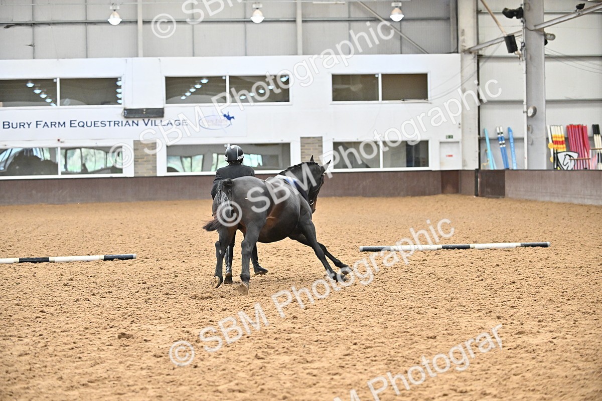 SBM_000808 - Class 16 - In Hand Showing Supreme Championships