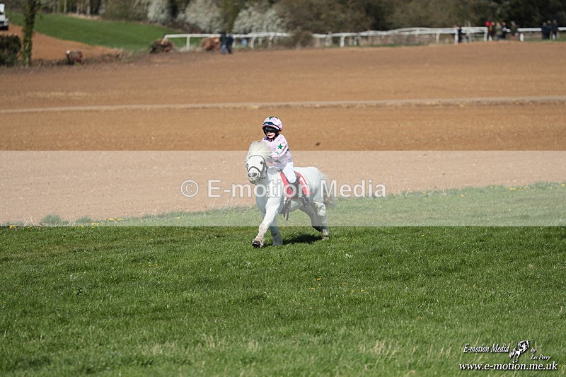 Shet 060426 137 - Shetland Pony Racing Paxford Races Easter Mon 06/04/26