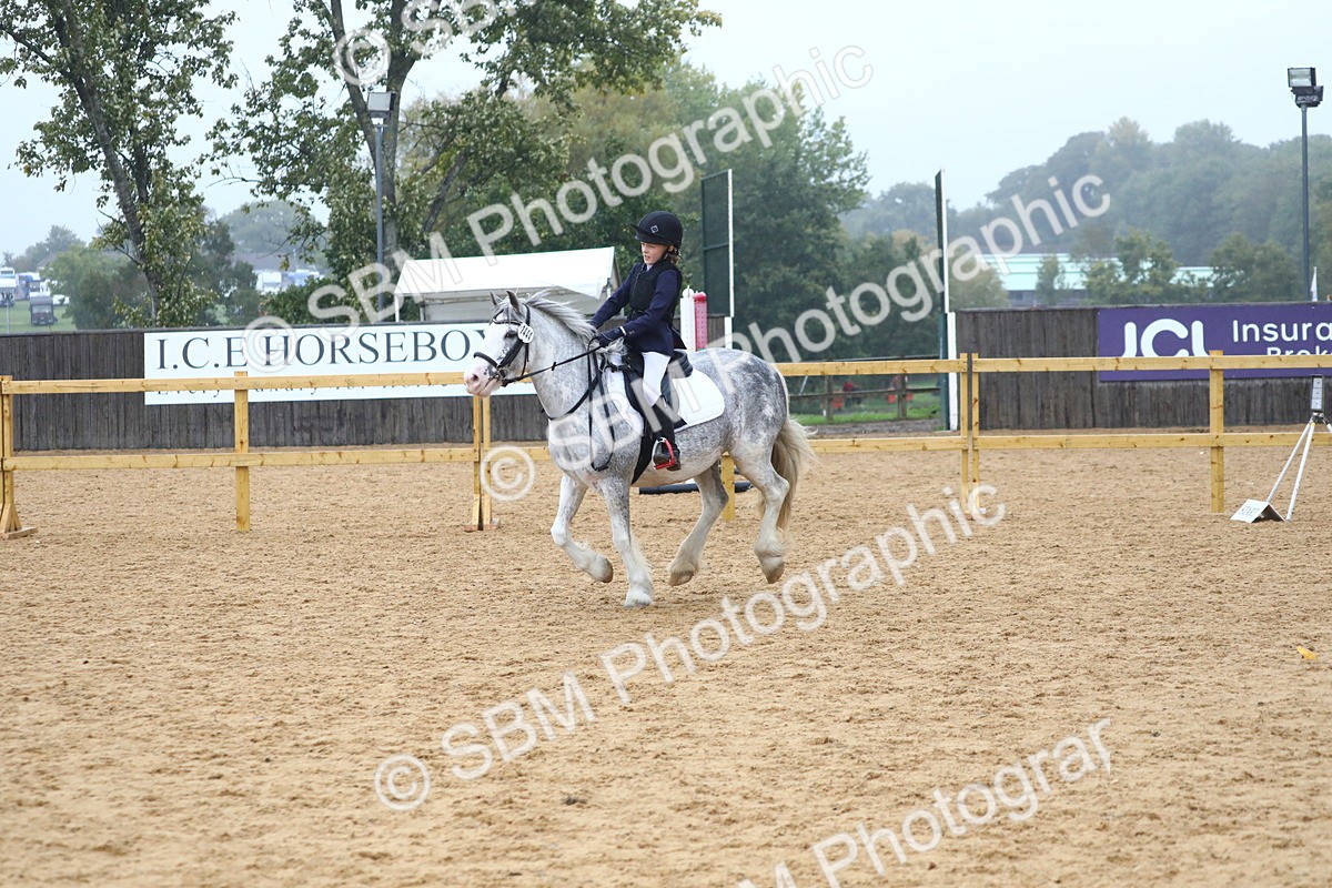SBM_71695 - J4 - Mini Tour Junior Pony 45cm Championship