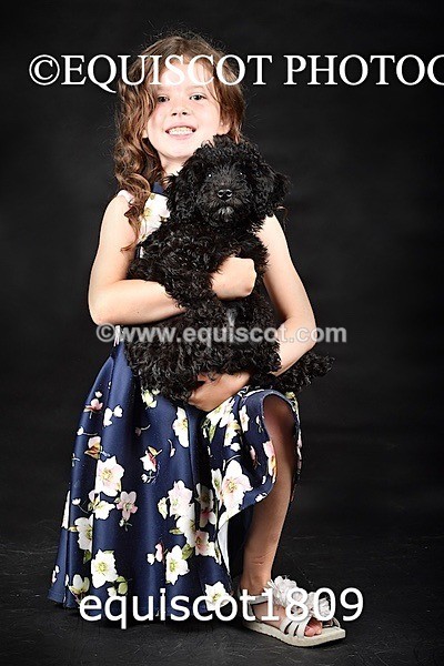 equiscot1809 - BONNIE