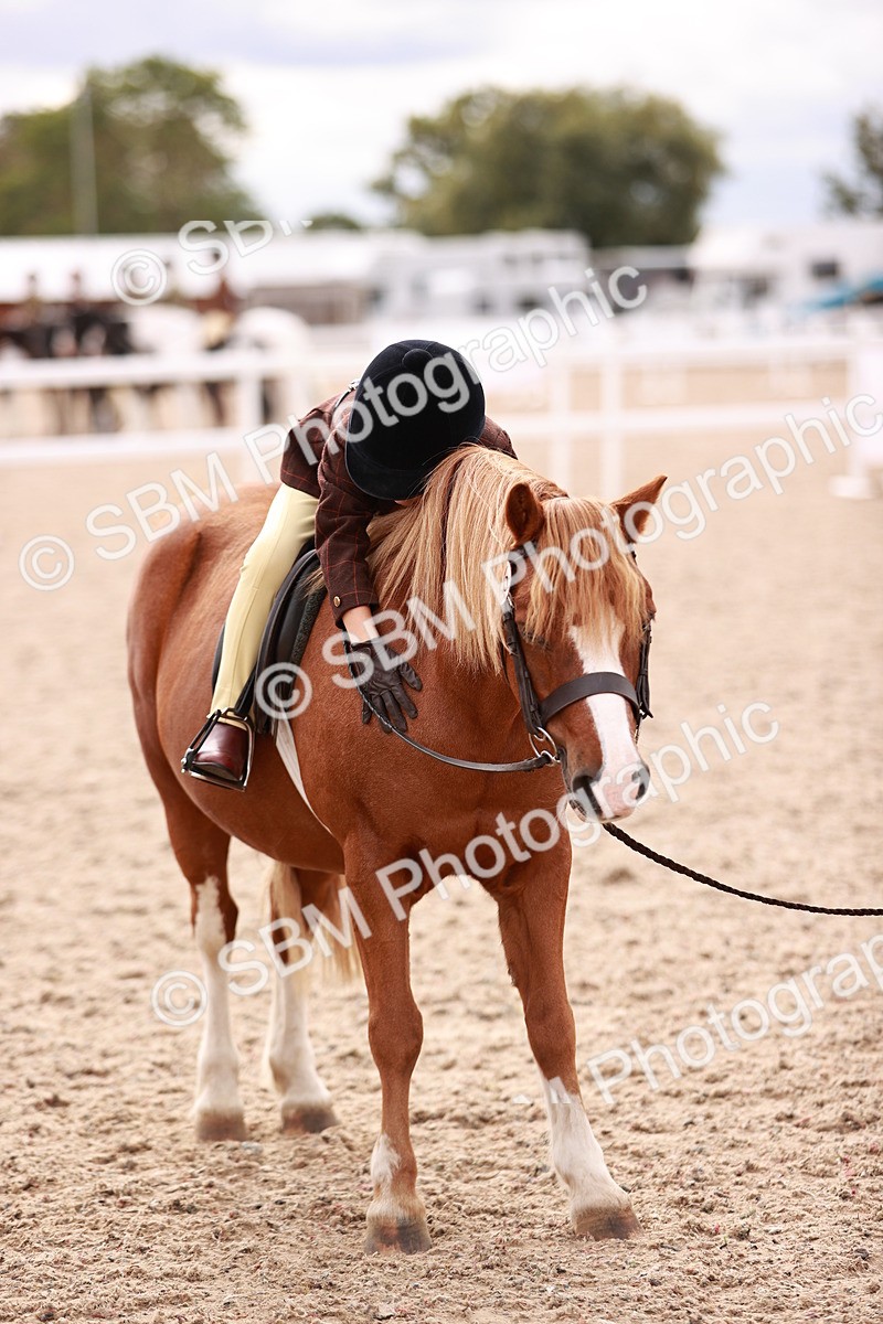 SBM_18411 - Class 418 - Best Condition - Jnr