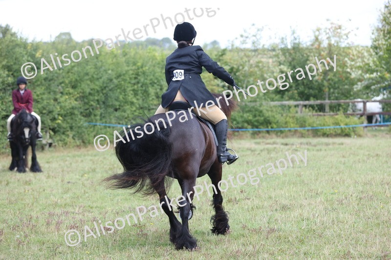 20250831-2426 - Class 16 - Family Pony