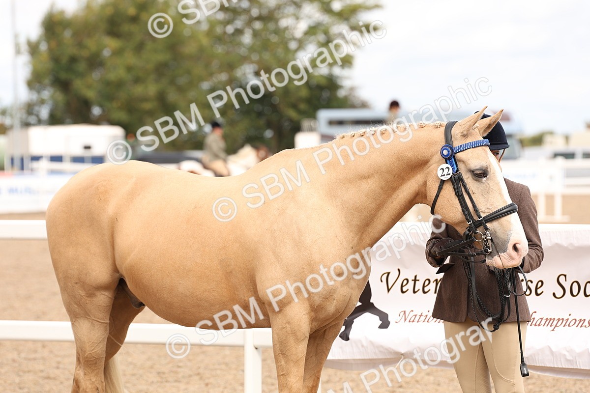 SBM_14631 - Class 208 - IH Veteran Horse