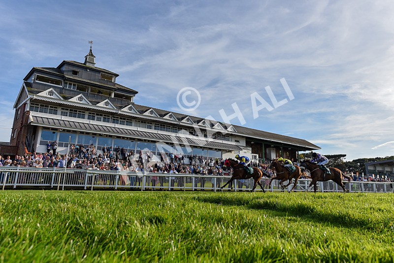 160924-Race 8-Sparkling Red-6945 - Race 8