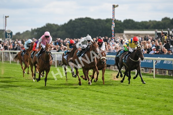 210825-Race 5-Charlottes Web-5021 - Race 5 4.10pm British EBF & Sir Henry Cecil Galtres Stakes